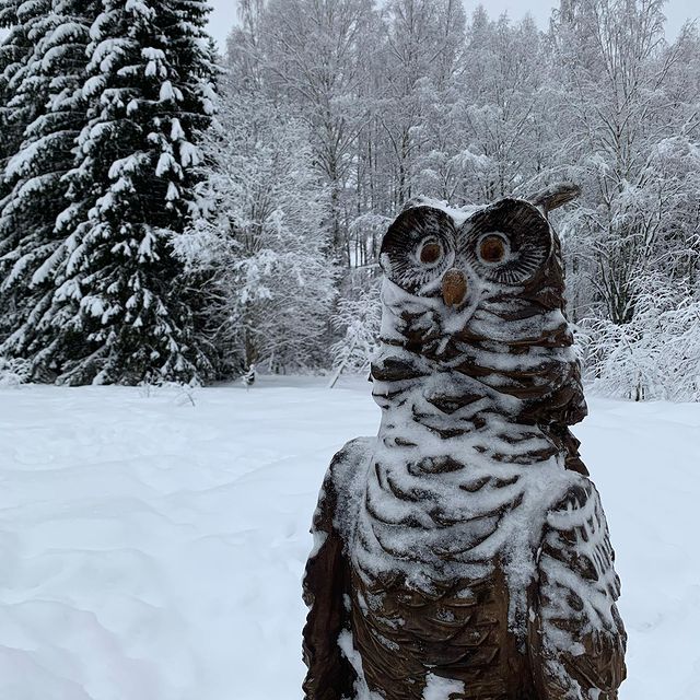 Maksim в LOOKY. #karelia,#2021. А вы бывали в Карели...