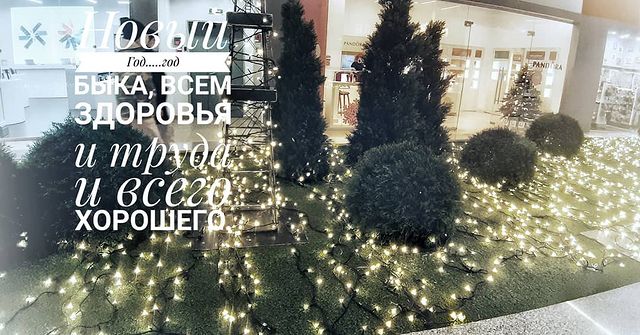 netaliandco в LOOKY. #новыйгод,#всемсчастья,#годбыка,#этомойгод. #новыйгод #всемсчаст...