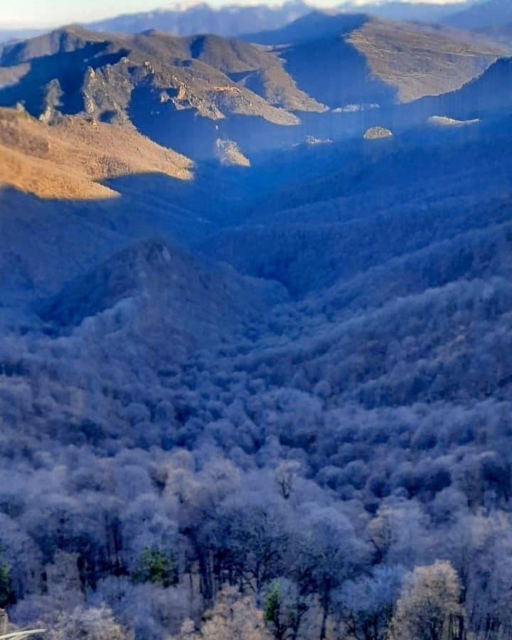 ksu_koti в LOOKY. #адыгея#лаголаки#горы#горныйвоздух#высота#🏔️❤️. Красота гор🏔️
Адыге...