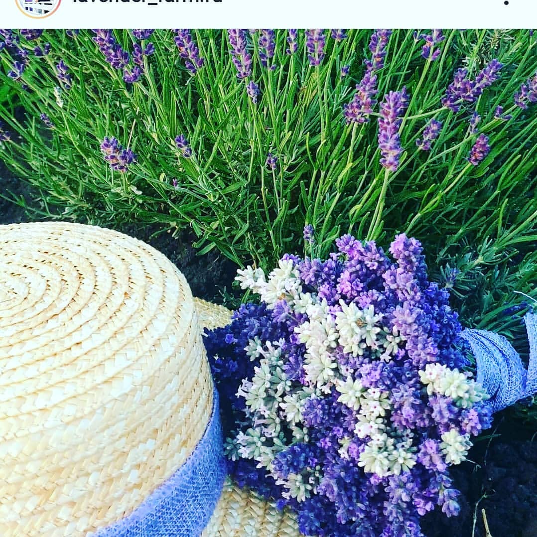 shabelskaia.natalia в LOOKY. . Иду учиться в школу ...