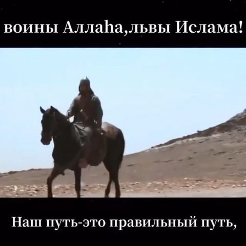 amr.genux05 в LOOKY. . null