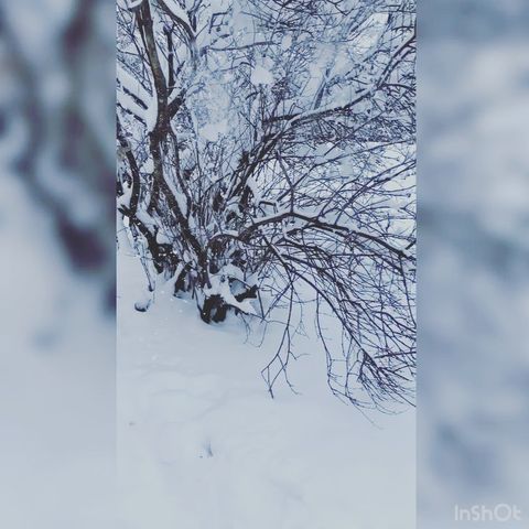 vikulya_viktory в LOOKY. . ❄️❄️❄️❄️❄️❄️❄️❄️❄️❄️...