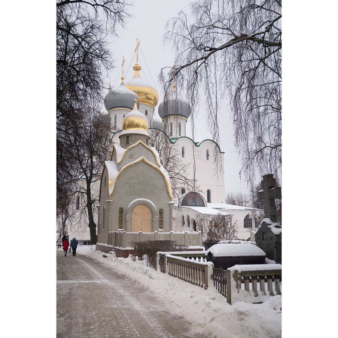 oleg_medvedev_s в LOOKY — фото 3