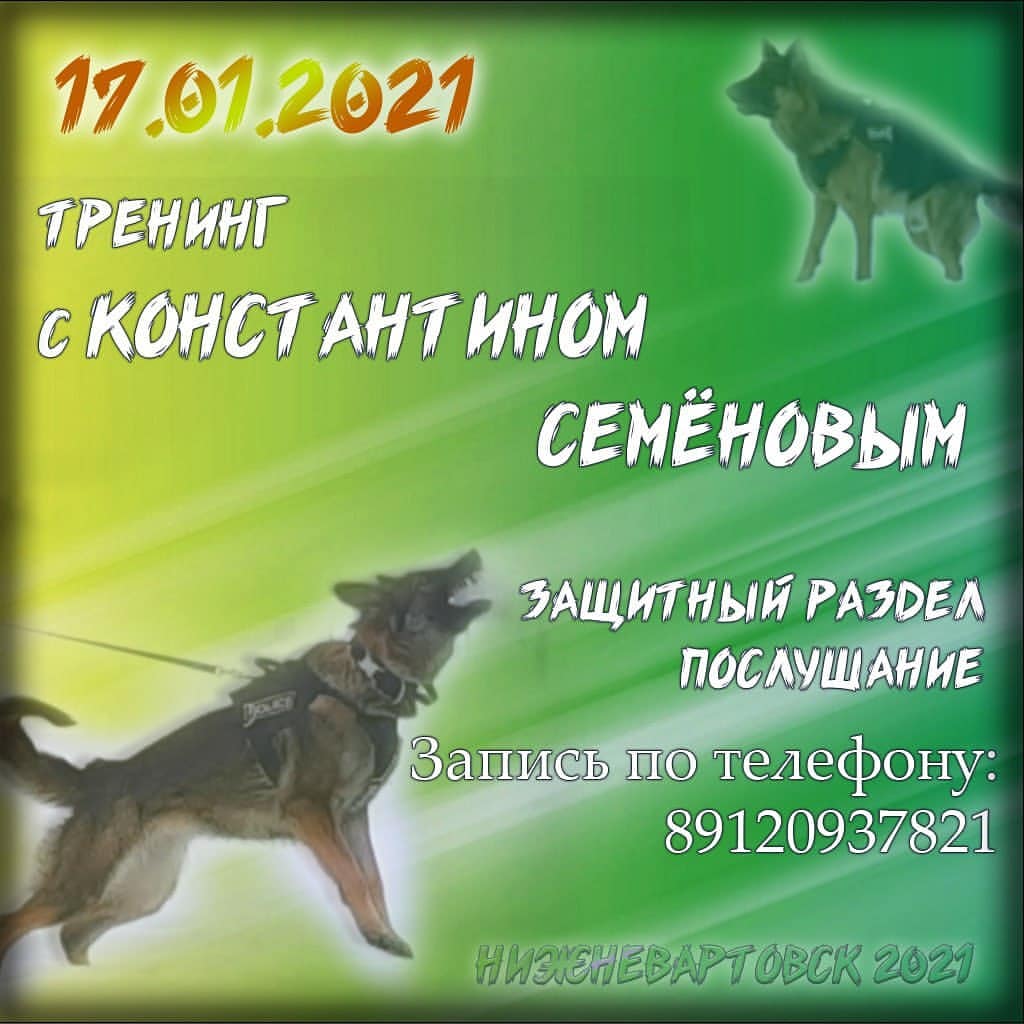 dressirovka_nv in LOOKY. . null