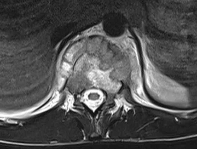 russianradiology в LOOKY — фото 7