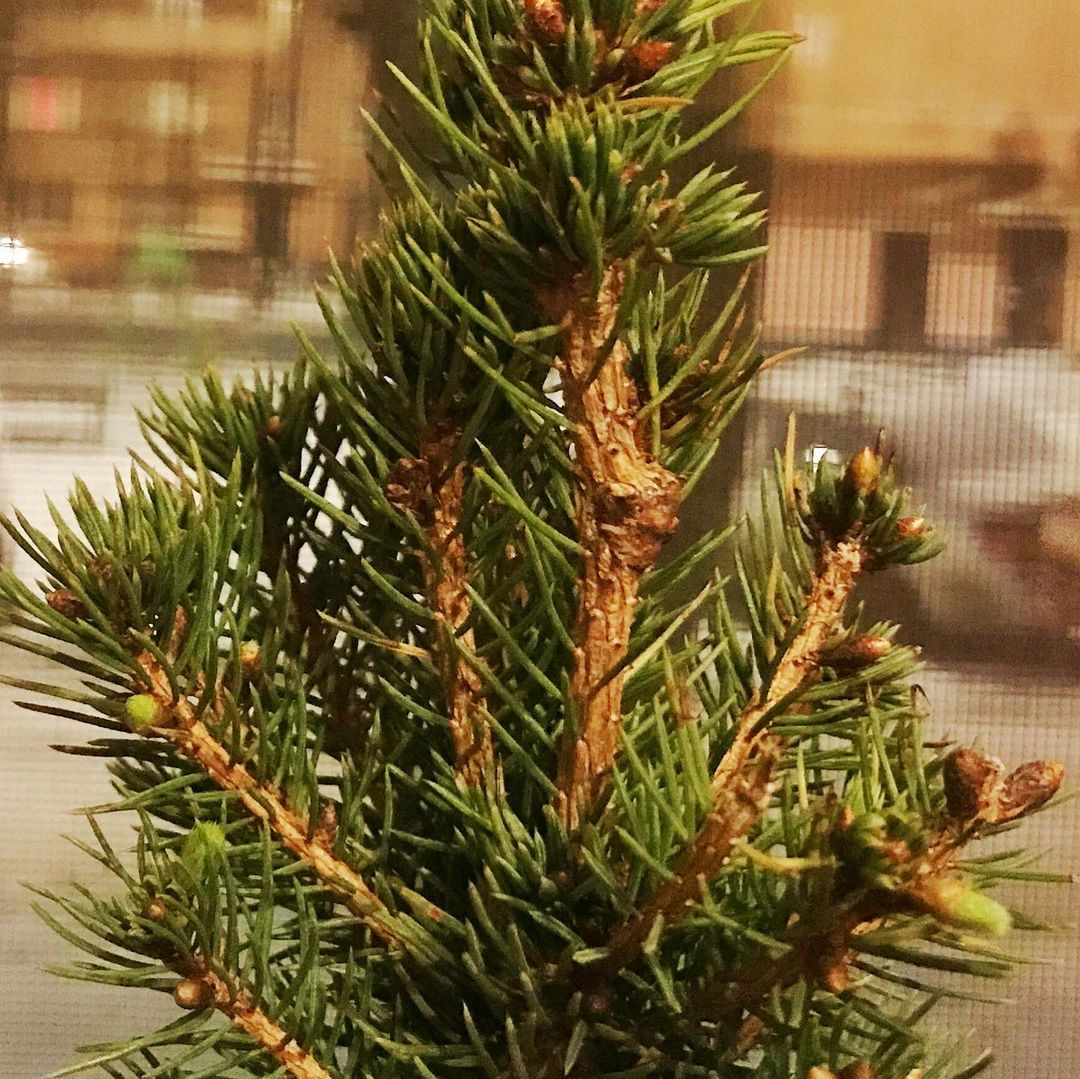 elveronika в LOOKY — фото 2