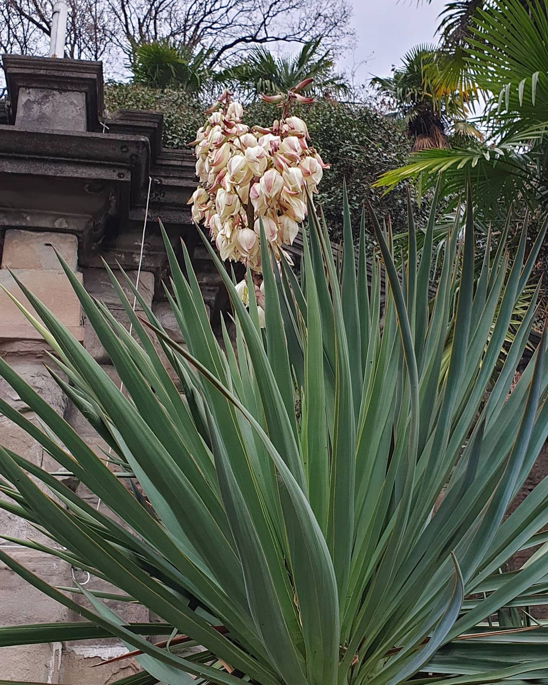 elena_chemy в LOOKY — фото 3