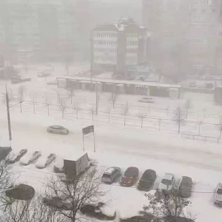 nelver25 в LOOKY. . И кто ее привез, при...