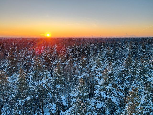titixoid в LOOKY. #mavic,#mavicair2,#forest,#sunset,#sunsetphotography,#kilometersdeep,#dronevideo,#dronephoto,#lightroom,#lightroompresets,#mobilephotography,#vscogrid,#onepluslife,#mobilephotography,#vsco,#vscocam,#vscogood,#photooftheday,#instagramanet,#instagood,#beautiful,#moscow. #mavic #mavicair2  #...