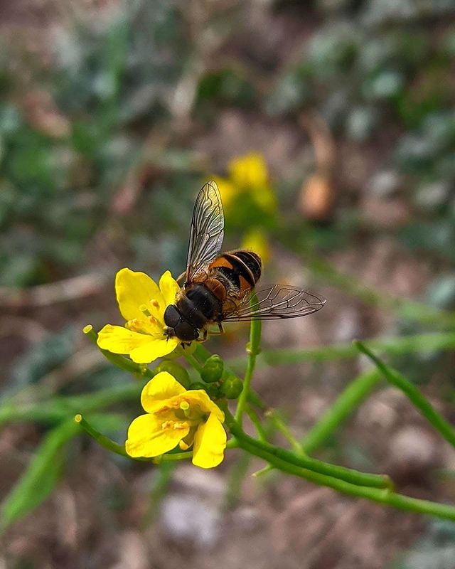 rishad.khan.photography в LOOKY. #photographylovers,#photographysouls,#photographyeveryday,#photographyislife,#photographylover,#photographyislifee,#photographylife,#photographyart,#photographyoftheday,#photographyy,#photographylove,#photographyaddict,#photographyskills,#photographybook,#photographyprops. ⏩⏩ follow@rishadkhan...