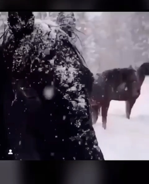 miladora_mari в LOOKY. . 😍❄️😍❄️😍❄️