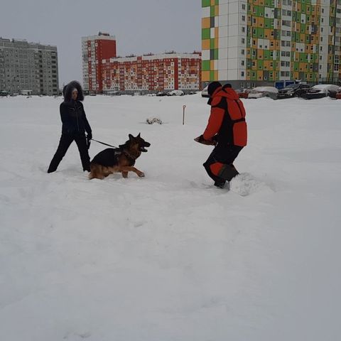 dressirovka_nv in LOOKY. . 17.01.2021 в Нижнева...