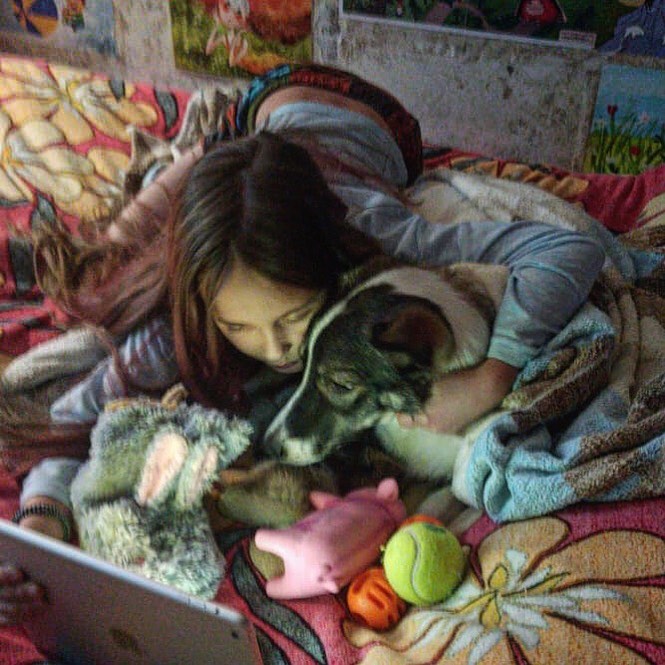 al_igolkin в LOOKY. . Соня показывает муль...