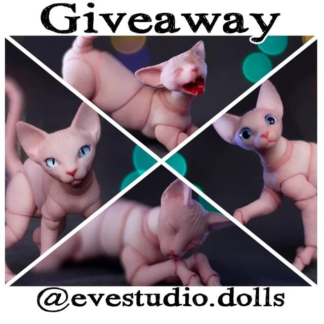 marsiankka в LOOKY. #evestudiogiveaway. Не помню, что б я чт...