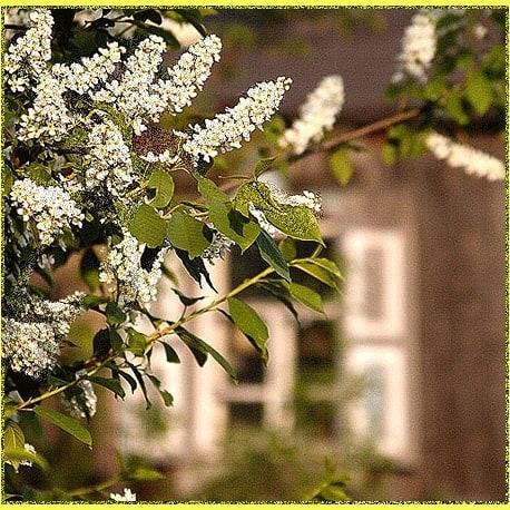 mukaramamavletov в LOOKY. #,#үкенмәслекбулсынүткәннәр#яшьлегем#. Хәерле иртә, дуслары...