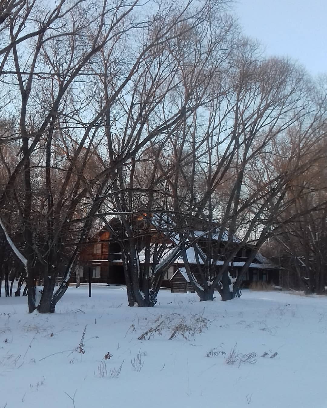 deis55 в LOOKY — Зимний вечер. #вдеревне #зима #омскаяобласть #сибирь #россия