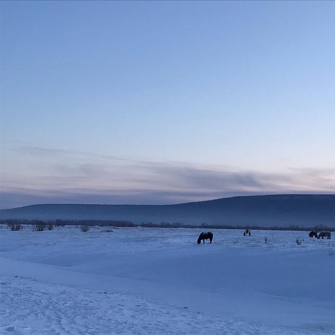 denis_yakutia в LOOKY — фото 10