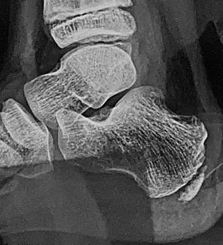 russianradiology в LOOKY — фото 3