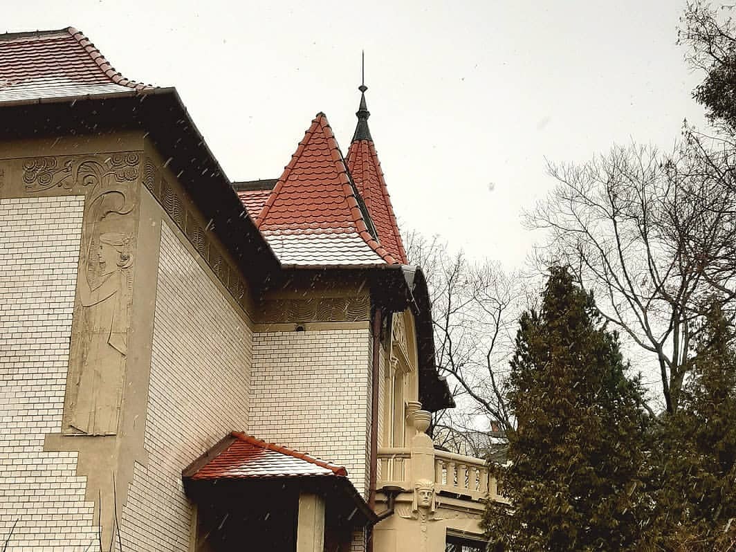 chumovoy_dachnik в LOOKY — фото 4