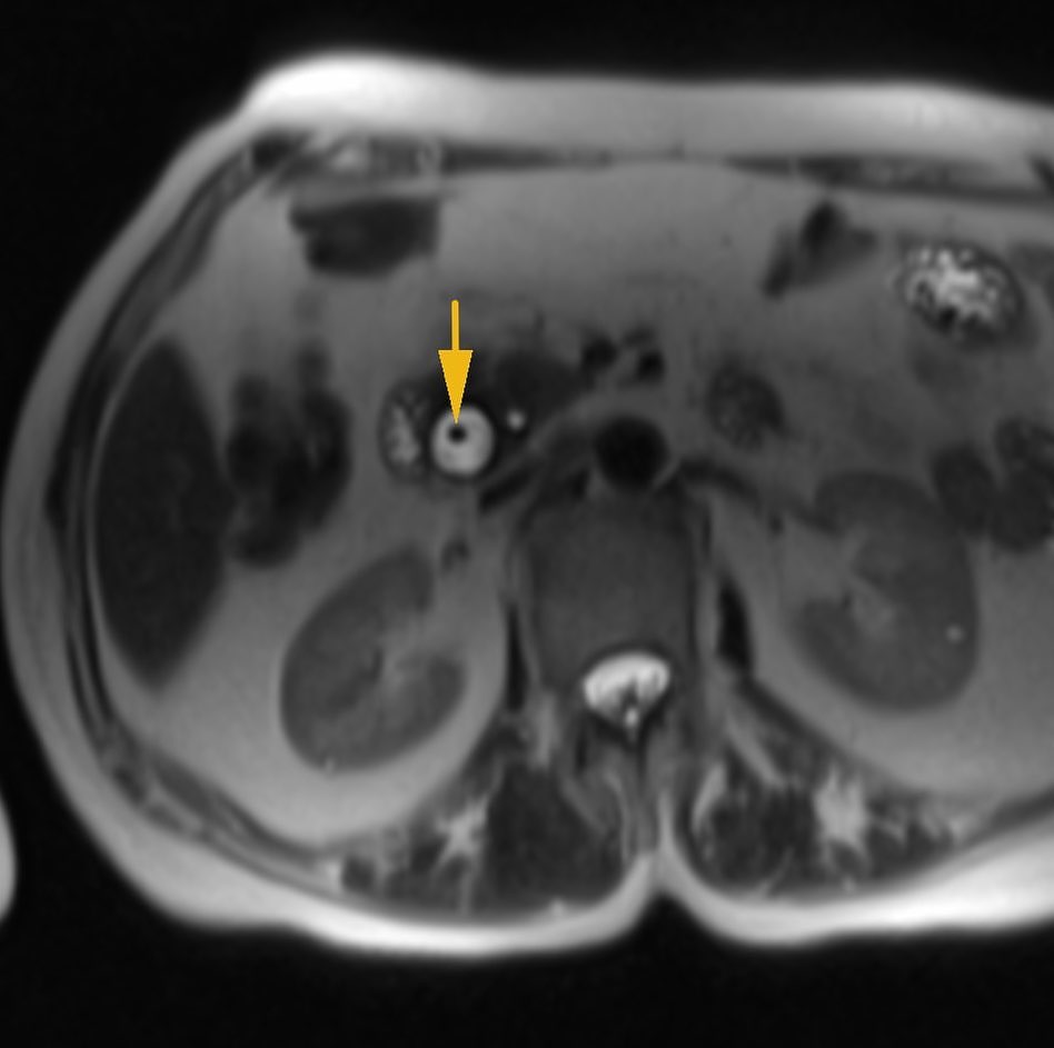 russianradiology в LOOKY — фото 4