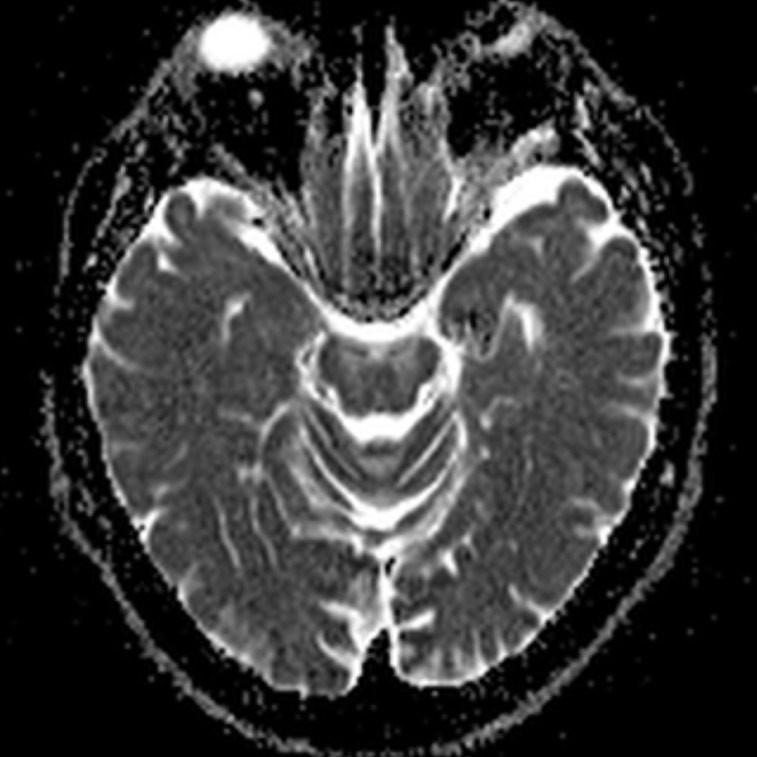 russianradiology в LOOKY — фото 7
