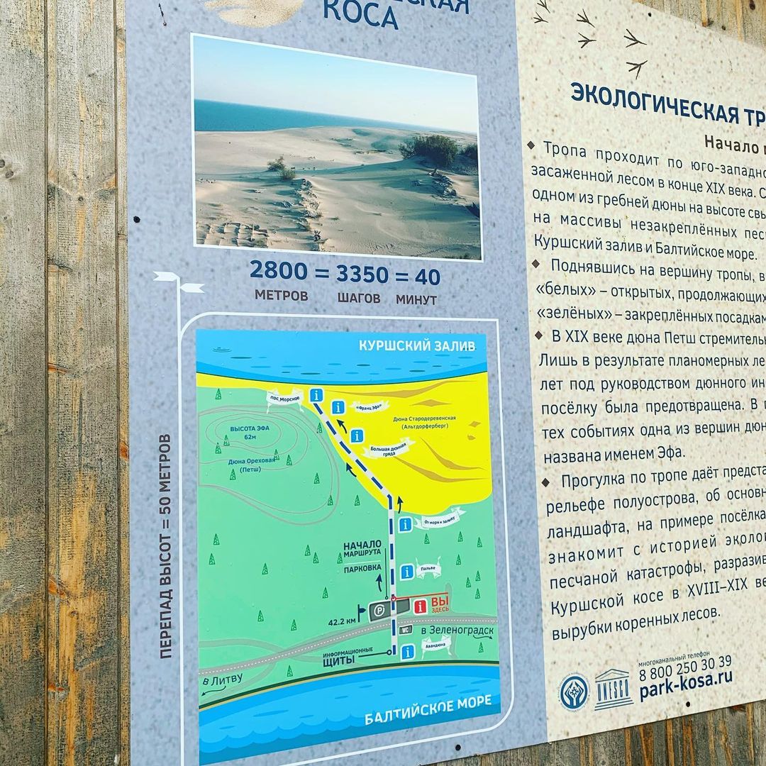 Куршская коса настолько своеобразна, что ее нужно увидеть своими глазами) Это такая мощь, которую не передать словами ...