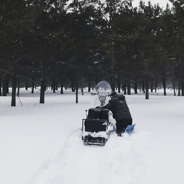 gipsophyla в LOOKY. . Буксуем, сегодня мы ...