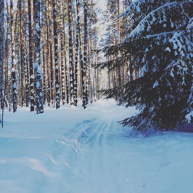pivovar1958 в LOOKY. . null