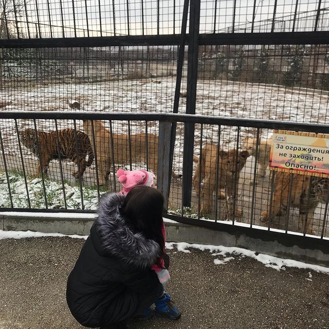 viktoriyasviridova_ в LOOKY. #паркльвовтайган🐯🦁. #паркльвовтайган🐯🦁