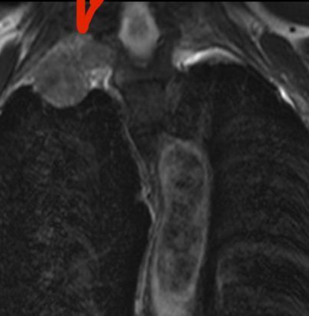russianradiology в LOOKY — фото 2