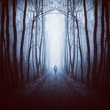 lesvnas_ в LOOKY — фото 2