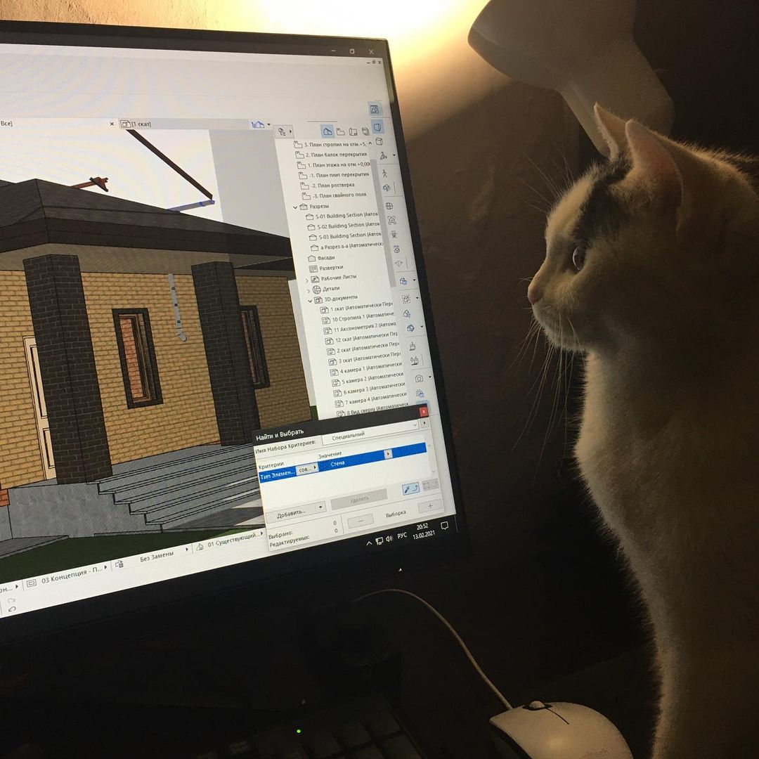 s_v_e_tsokola в LOOKY — Главный архитектор, пришёл с проверкой!😆. #коты #кошка