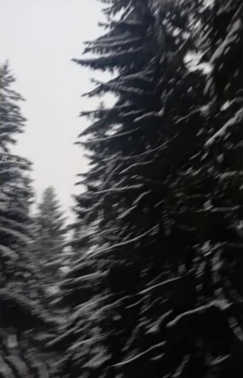 julia_white_owl в LOOKY. . Ага, я тут месяц наз...