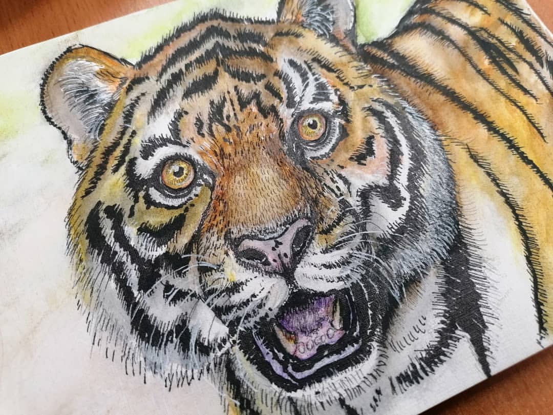 sashka_cheburashka_art в LOOKY — фото 2