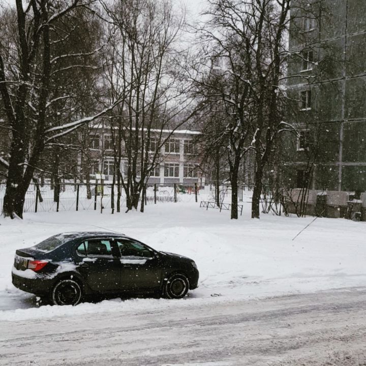 nata8179 в LOOKY. #работа#февраль#🌨#питер#❄#скоровесна#🌱. Все тот же пейзаж😄 ...