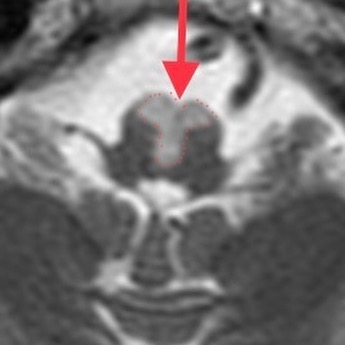 russianradiology в LOOKY — фото 4