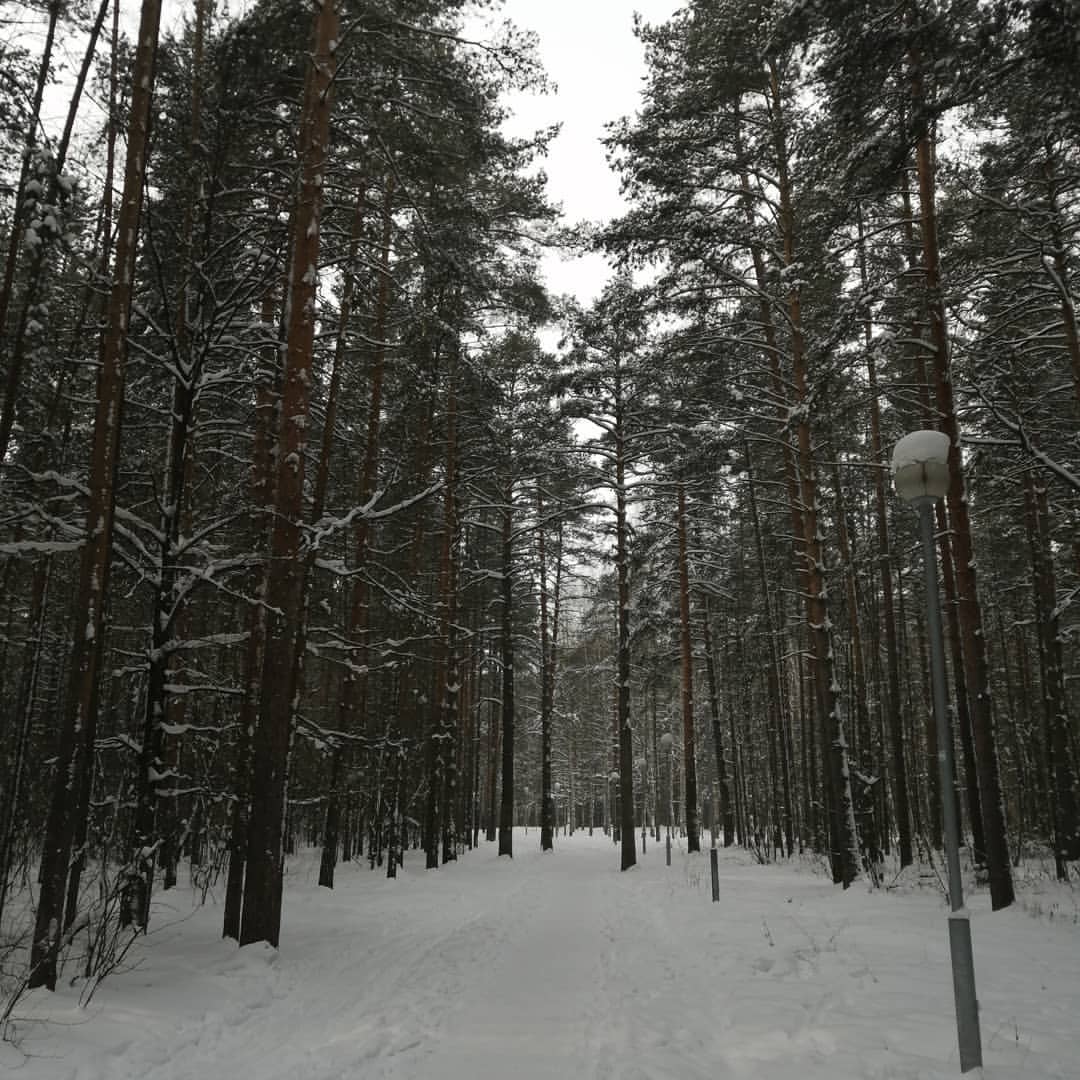 Сегодня был прекрасный день! Погуляли по лесу, сходили в гости к друзьям, порадовала себя новой покупочкой😉#зима2021