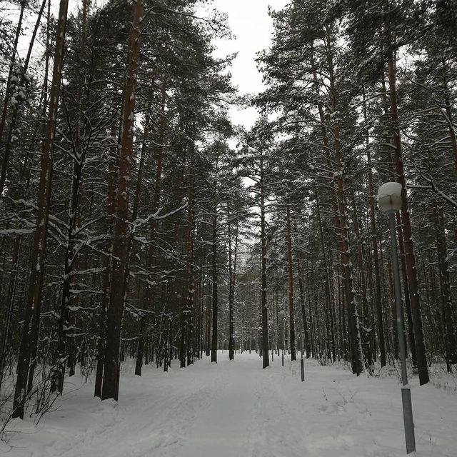 ilona_nsk в LOOKY. . Сегодня был прекрасн...
