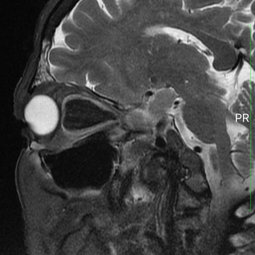 russianradiology в LOOKY — фото 4