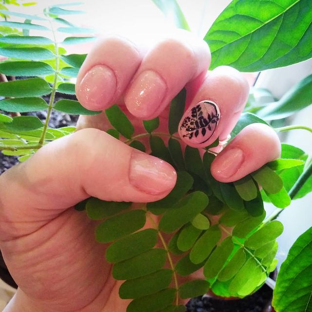katti13081998 в LOOKY. #mashacreate. #mashacreate вот так...