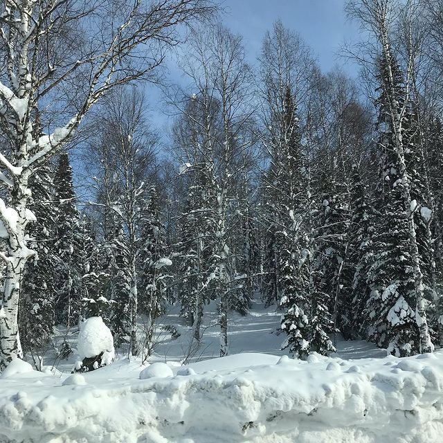 gipsophyla в LOOKY. . Завтра весна!