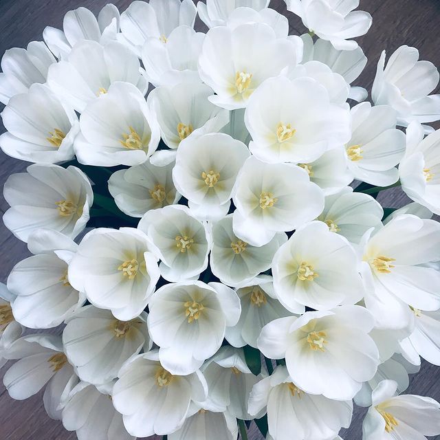 natashkin_ee в LOOKY. #springmood,#instaday,#instamood,#vsco,#vscocam,#springflowers,#stilllife,#inspiration,#lifestyle. С первым днём Весны ...