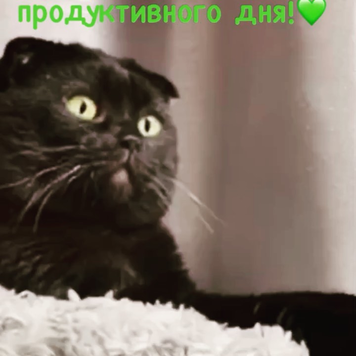 yla_blt в LOOKY. . Весна пришла - весне...