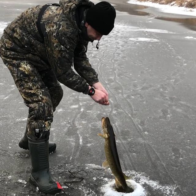 fishing.ideal в LOOKY. #fishing,#fisher,#рыбалка,#идеальнаярыбалка. #fishing #fisher #ры...