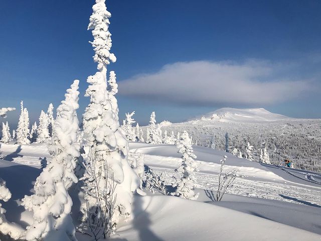 rezvayada в LOOKY. #шерегеш,#каритшал,#russianwinter. Будни офисного планк...