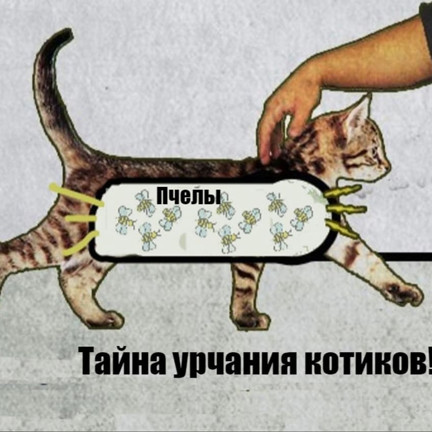 mauzlova в LOOKY — публикация