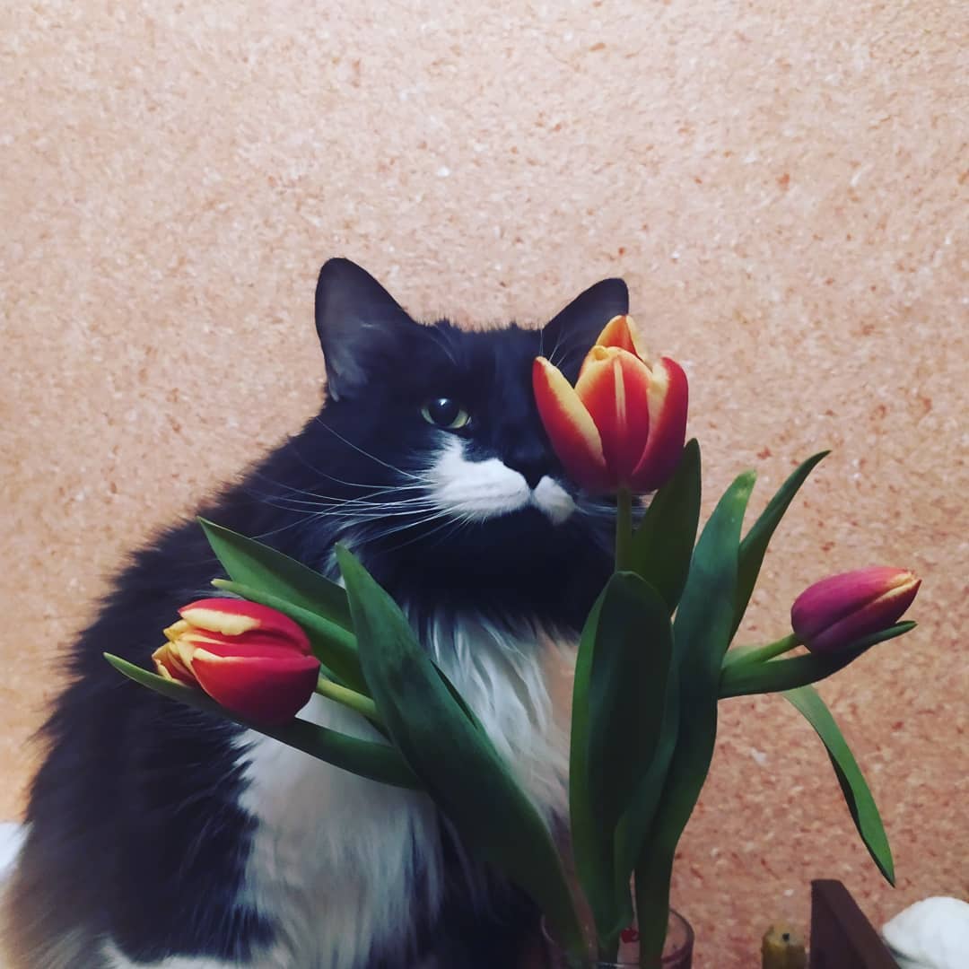xameliowka в LOOKY. . Любитель цветочков �...