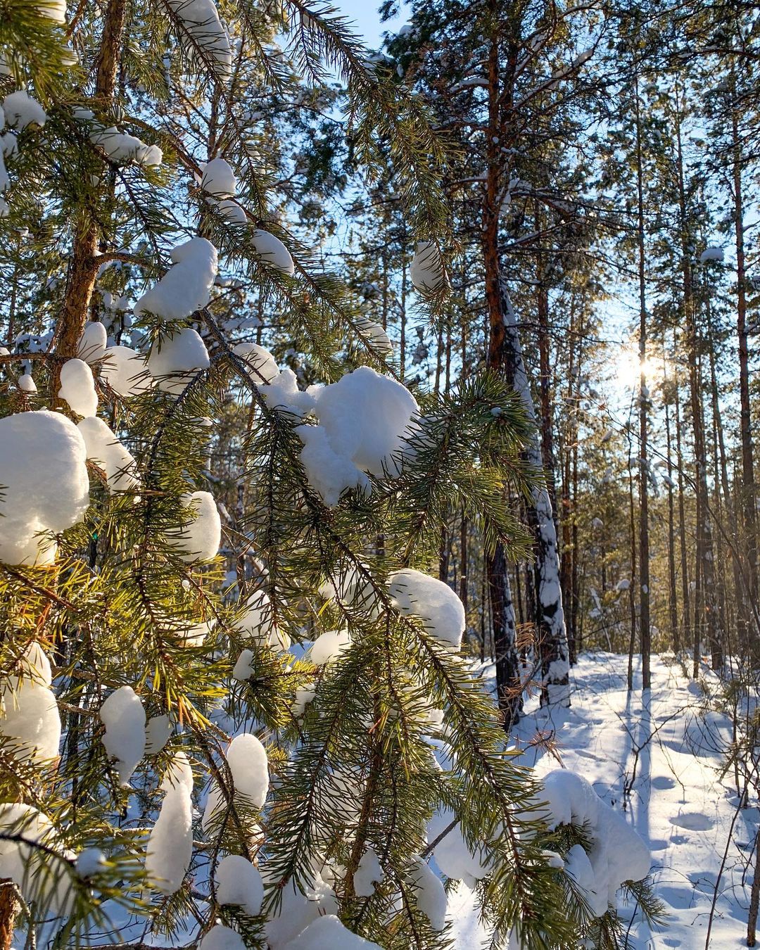 Дневная прогулка