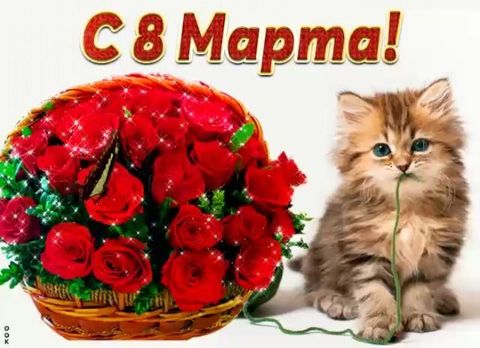 shchegolka.anna в LOOKY. #праздниккнамприходит,#веснапришла,#8марта🌹,#спраздником8марта,#любитедругдруга,#счастьявам,#цветы. Дорогие мои девочки,...