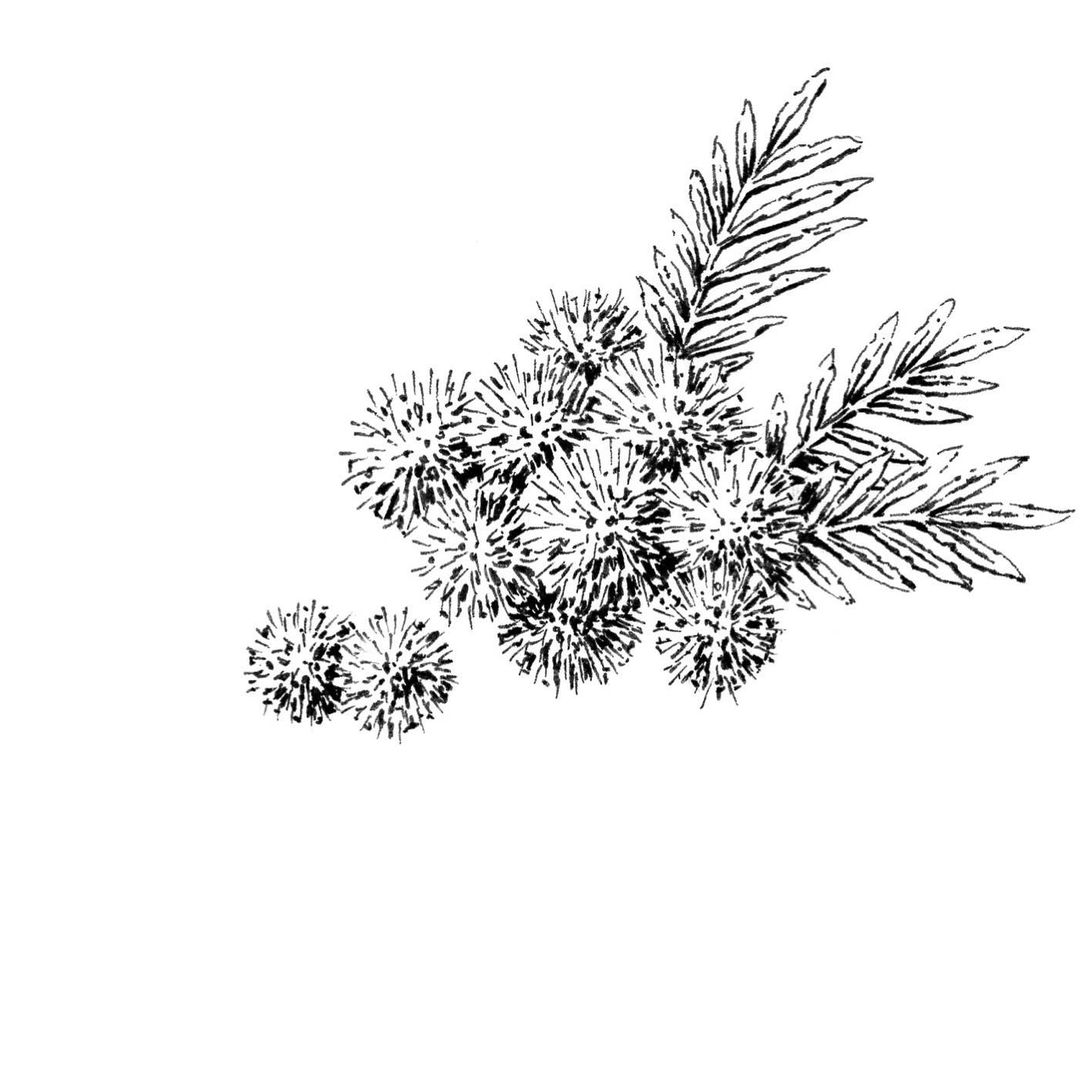 l_m_a_r_t в LOOKY — фото 5